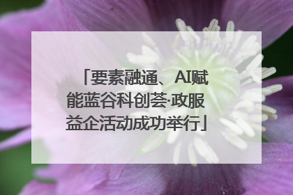 要素融通、AI赋能蓝谷科创荟·政服益企活动成功举行
