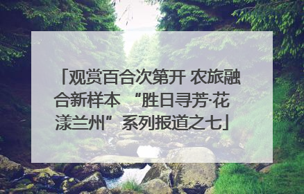 观赏百合次第开 农旅融合新样本 “胜日寻芳·花漾兰州”系列报道之七