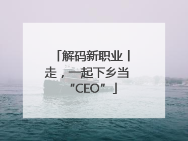 解码新职业丨走，一起下乡当“CEO”