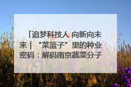 追梦科技人 向新向未来｜“菜篮子”里的种业密码：解码南京蔬菜分子育种的创新之路