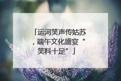 运河笑声传姑苏，端午文化盛宴“笑料十足”