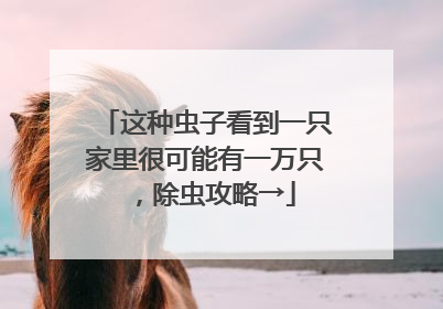 这种虫子看到一只家里很可能有一万只，除虫攻略→