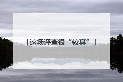 这场评查很“较真”