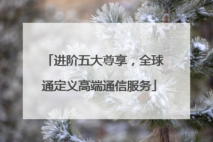 进阶五大尊享，全球通定义高端通信服务