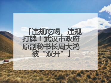 违规吃喝、违规打牌！武汉市政府原副秘书长周大鸿被“双开”