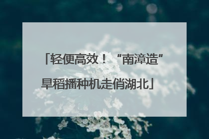 轻便高效！“南漳造”旱稻播种机走俏湖北