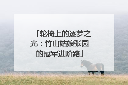 轮椅上的逐梦之光：竹山姑娘张园的冠军进阶路