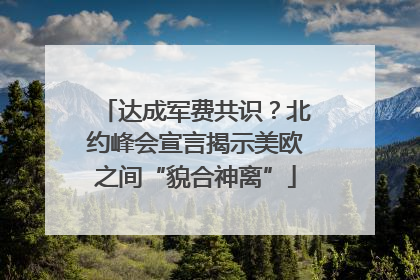 达成军费共识？北约峰会宣言揭示美欧之间“貌合神离”