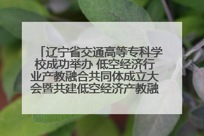 辽宁省交通高等专科学校成功举办 低空经济行业产教融合共同体成立大会暨共建低空经济产教融合新生态论坛