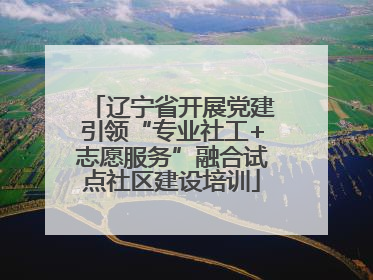 辽宁省开展党建引领“专业社工+志愿服务”融合试点社区建设培训