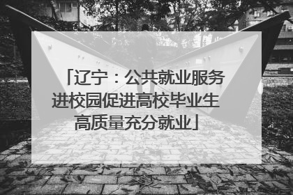 辽宁：公共就业服务进校园促进高校毕业生高质量充分就业