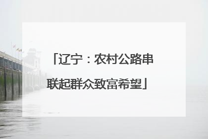 辽宁：农村公路串联起群众致富希望