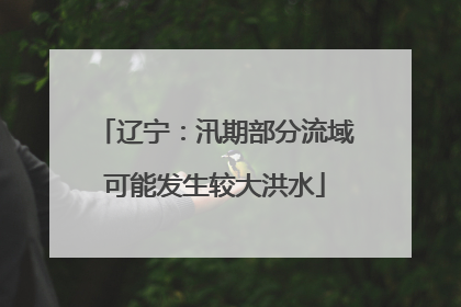 辽宁：汛期部分流域可能发生较大洪水