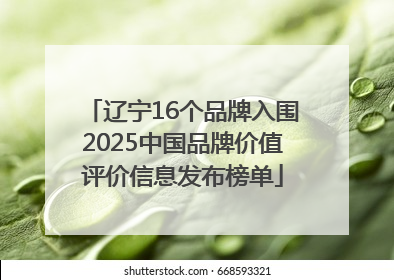 辽宁16个品牌入围2025中国品牌价值评价信息发布榜单
