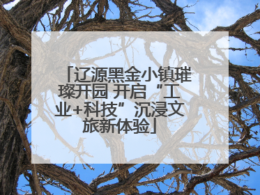 辽源黑金小镇璀璨开园 开启“工业+科技”沉浸文旅新体验