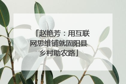 赵艳芳：用互联网思维铺就固阳县乡村助农路