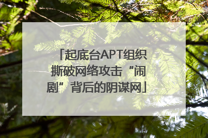 起底台APT组织 撕破网络攻击“闹剧”背后的阴谋网