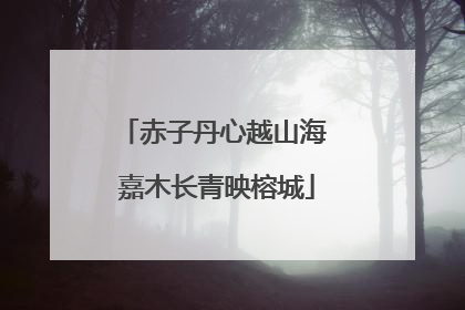赤子丹心越山海 嘉木长青映榕城
