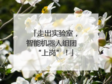 走出实验室，智能机器人组团“上岗”！