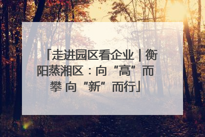 走进园区看企业｜衡阳蒸湘区：向“高”而攀 向“新”而行