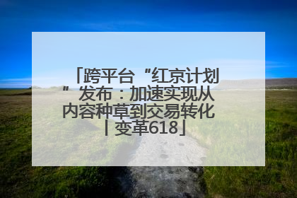 跨平台“红京计划”发布：加速实现从内容种草到交易转化丨变革618