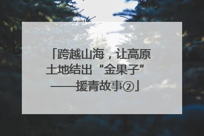 跨越山海，让高原土地结出“金果子”——援青故事②