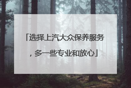 选择上汽大众保养服务，多一些专业和放心
