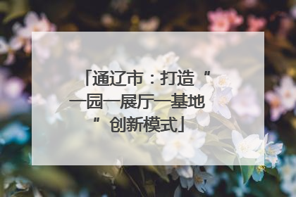 通辽市：打造“一园一展厅一基地”创新模式