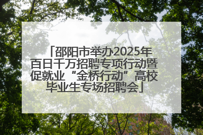 邵阳市举办2025年百日千万招聘专项行动暨促就业“金桥行动”高校毕业生专场招聘会