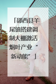 郧西县羊尾镇搭建调制大棚激活烟叶产业“新动能”