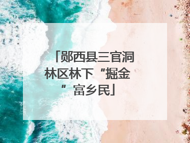 郧西县三官洞林区林下“掘金”富乡民