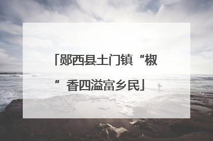 郧西县土门镇“椒”香四溢富乡民