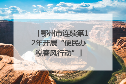 鄂州市连续第12年开展“便民办税春风行动”