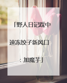 野人日记踩中速冻饺子新风口：加魔芋