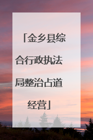 金乡县综合行政执法局整治占道经营
