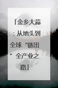 金乡大蒜：从地头到全球“链出”全产业之路