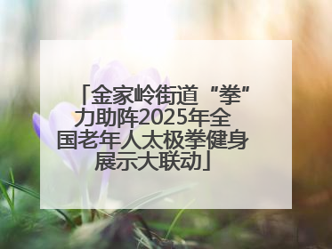 金家岭街道“拳”力助阵2025年全国老年人太极拳健身展示大联动