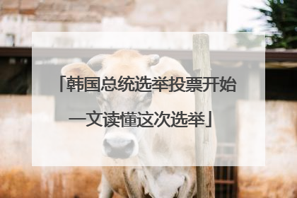 韩国总统选举投票开始 一文读懂这次选举