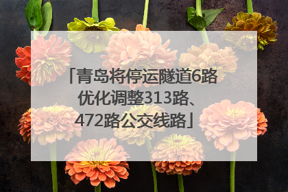 青岛将停运隧道6路 优化调整313路、472路公交线路