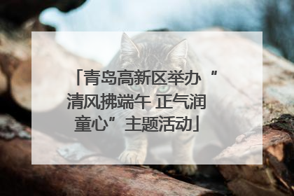 青岛高新区举办“清风拂端午 正气润童心”主题活动