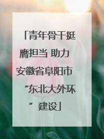青年骨干挺膺担当 助力安徽省阜阳市“东北大外环”建设