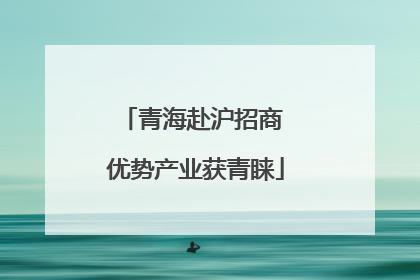 青海赴沪招商 优势产业获青睐