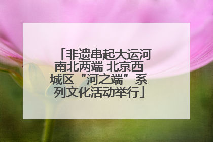 非遗串起大运河南北两端 北京西城区“河之端”系列文化活动举行