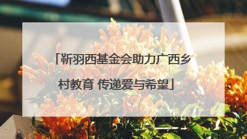 靳羽西基金会助力广西乡村教育 传递爱与希望