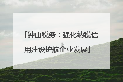 钟山税务：强化纳税信用建设护航企业发展