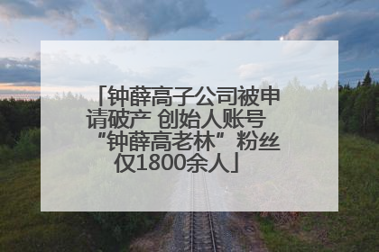 钟薛高子公司被申请破产 创始人账号“钟薛高老林”粉丝仅1800余人