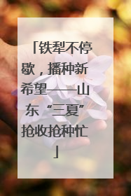 铁犁不停歇，播种新希望——山东“三夏”抢收抢种忙