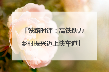 铁路时评：高铁助力乡村振兴迈上快车道