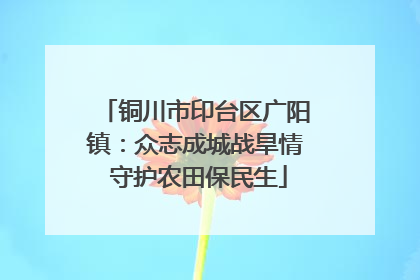 铜川市印台区广阳镇：众志成城战旱情 守护农田保民生
