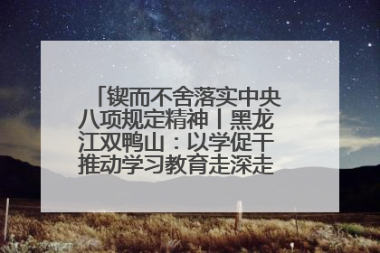 锲而不舍落实中央八项规定精神丨黑龙江双鸭山：以学促干推动学习教育走深走实 从小事入手写好“民生答卷”